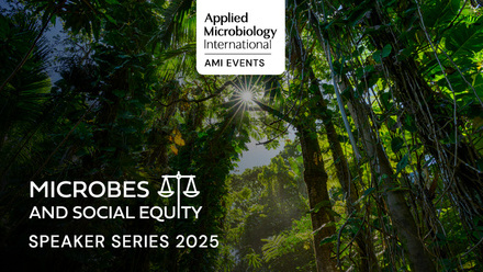 MSE_Web_Images10.jpg 1