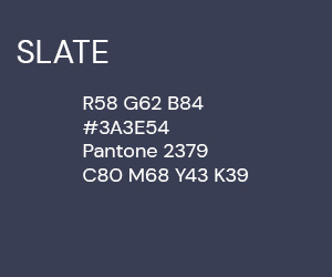 300 x 250 SLATE PS.jpg