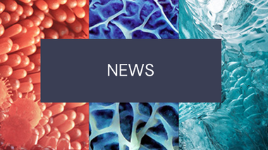 AMi News Journals.png