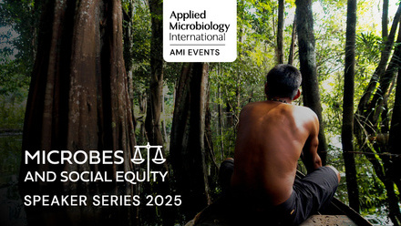 MSE_Web_Images7.jpg 1