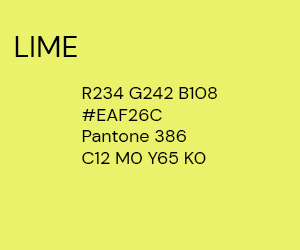 300 x 250 LIME PS.jpg