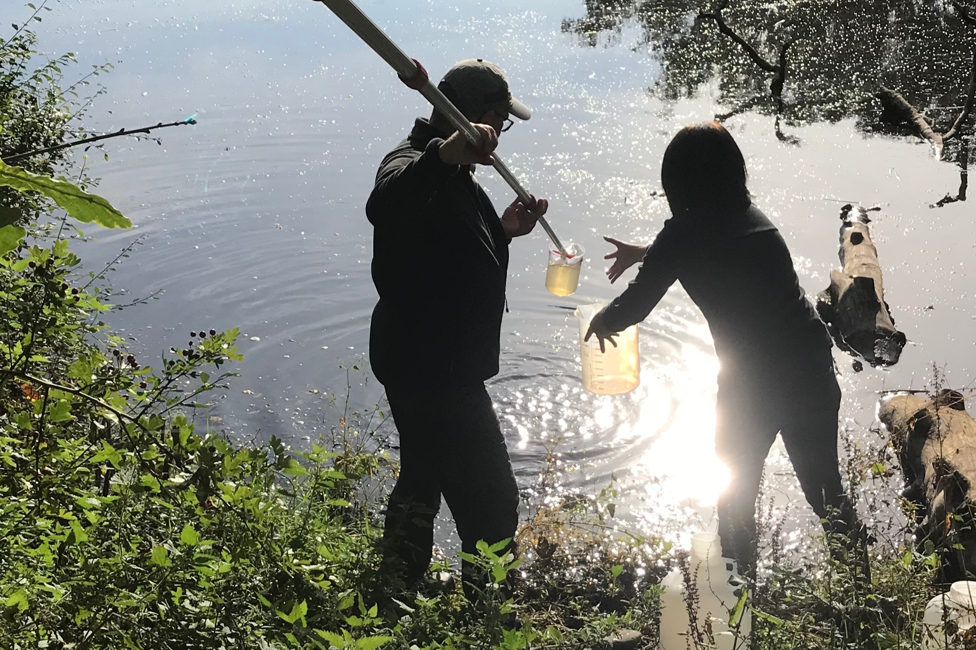 img_4514_337652_crop (1).jpeg