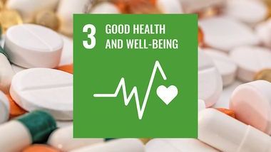 One Health SDG 3 TOC.jpg