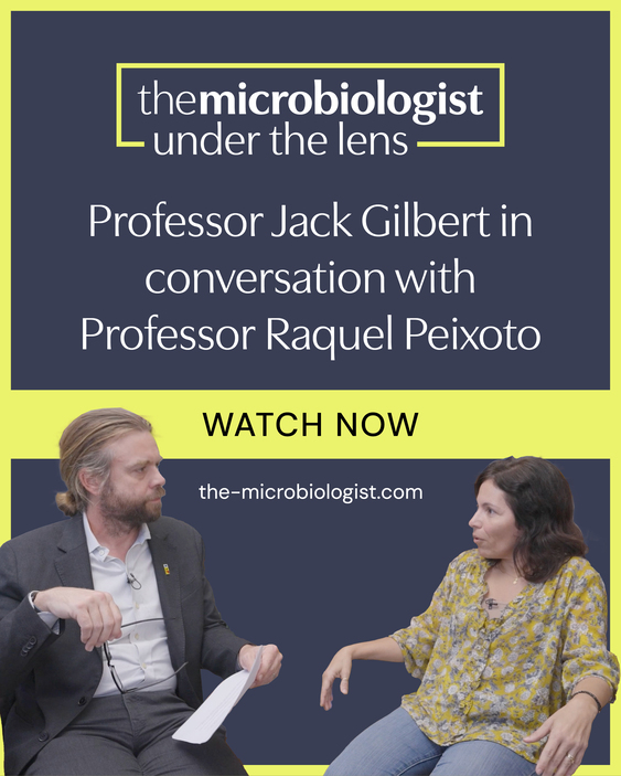 Under_the_lens_social_media_instagram_1 (1).jpg