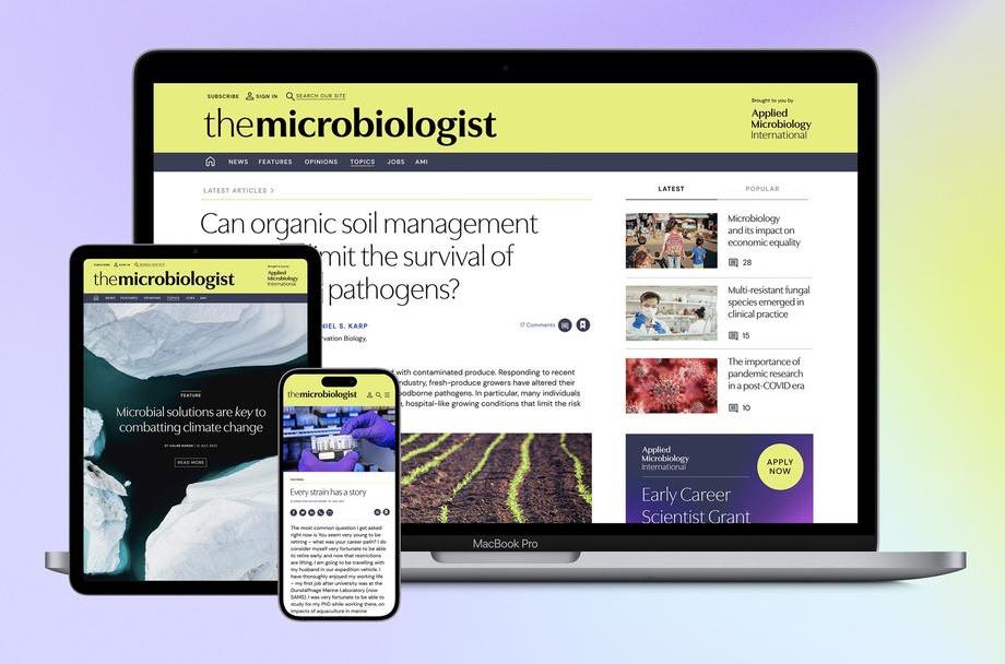 AMI_Devices Mockup_Lilac_halfsize.jpg