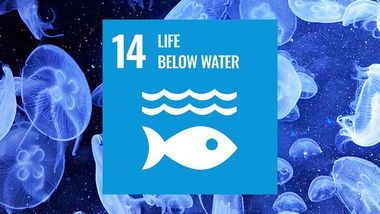Ocean Sustainability SDG 14 TOC.jpg