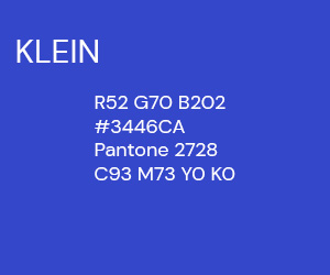 300 x 250 KLEIN PS.jpg